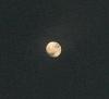 اضغط على الصورة لعرض أكبر. 

الإسم:	DSCF5987 - Copie.jpg 
مشاهدات:	709 
الحجم:	32.6 كيلوبايت 
الهوية:	2804